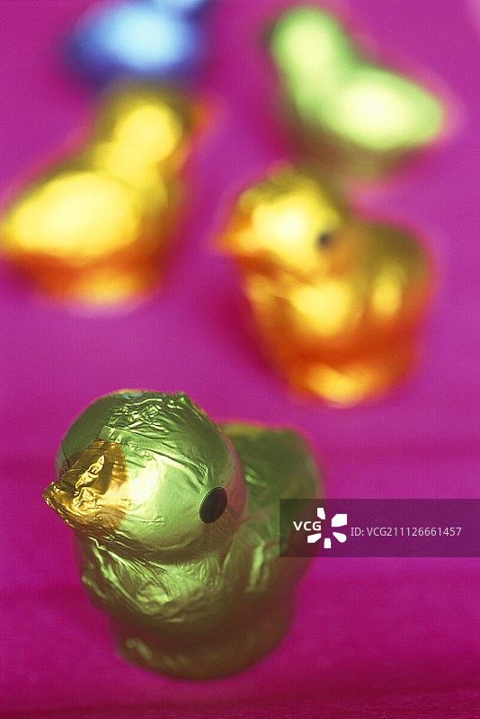 彩色包装的小鸡巧克力图片素材