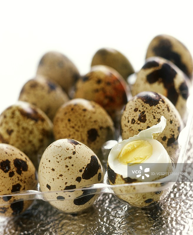 十二个鹌鹑蛋，一个煮熟并打开图片素材