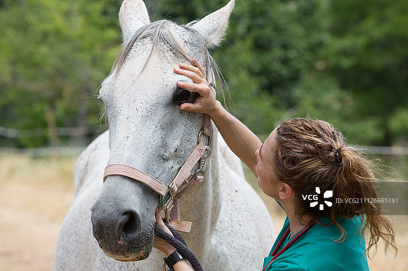 农场兽医图片素材