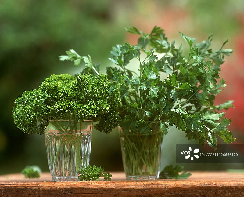 水杯中平叶和卷曲的欧芹图片素材