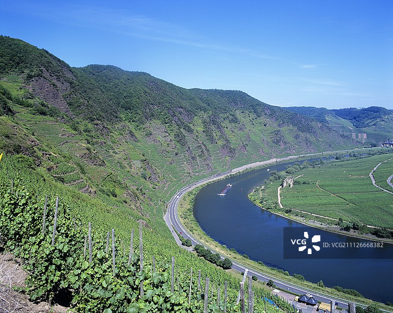 布雷默卡尔蒙特单一园（布雷姆，摩泽尔-萨尔-鲁韦尔产区）图片素材