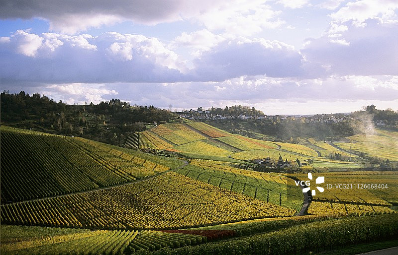 符腾堡“费尔巴赫莱姆勒”单一葡萄园景观图片素材