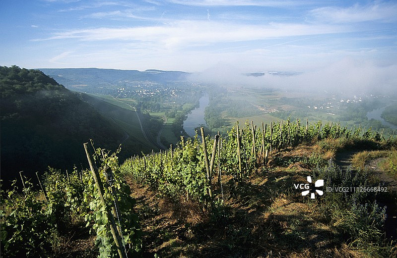 绍登 Herrenberg 山的景色图片素材