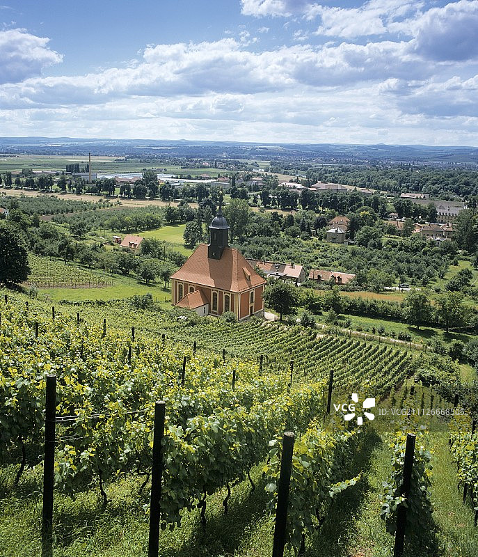 皮尔尼茨国王葡萄园，萨克森图片素材