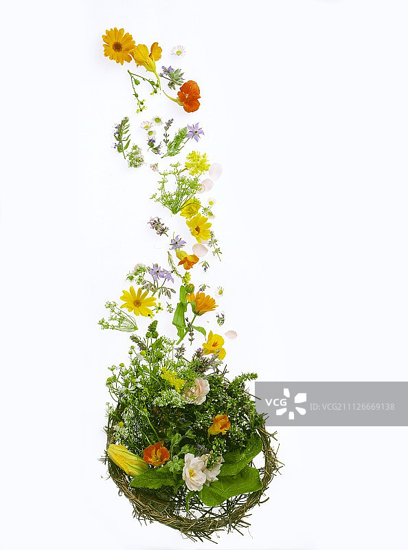 篮子中溢出的草药和鲜花图片素材