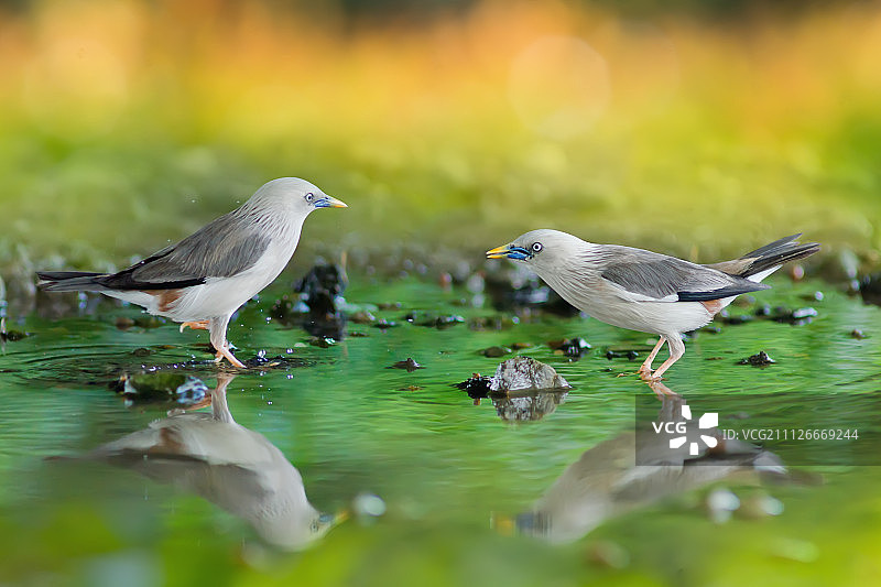 中国台湾板桥区图片素材