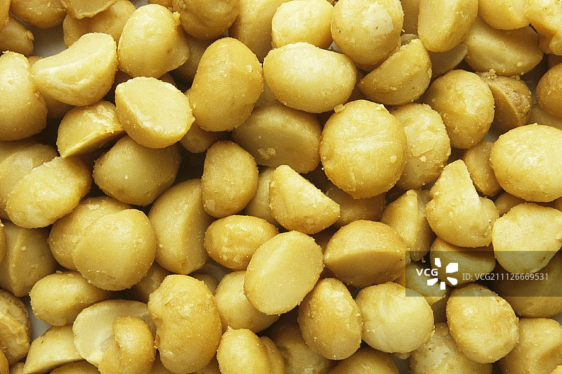 几颗带壳澳洲坚果图片素材