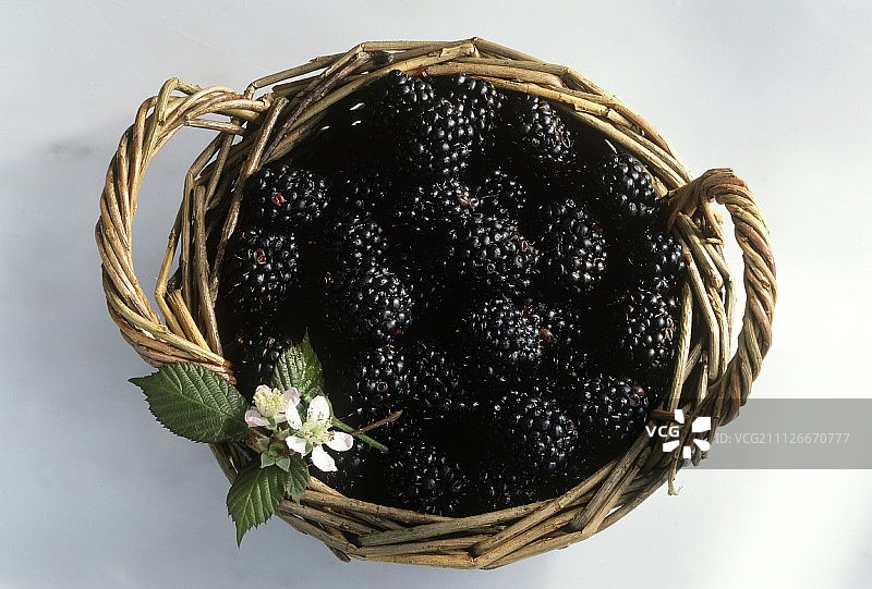 柳条筐里的黑莓图片素材