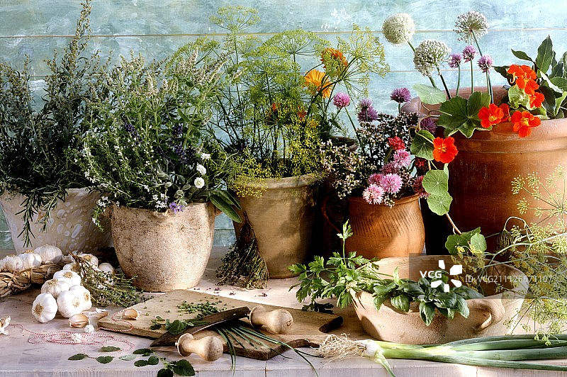 香草、鲜花和蔬菜静物写生图片素材