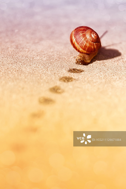 维亚利基·特罗斯佳内茨，白俄罗斯图片素材