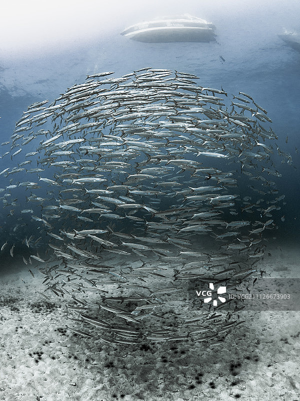 版本...图片素材