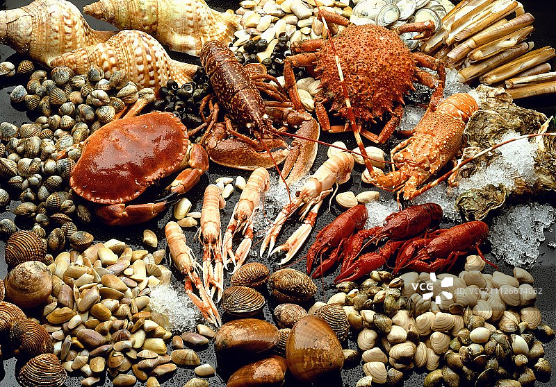 贻贝和贝类静物图片素材