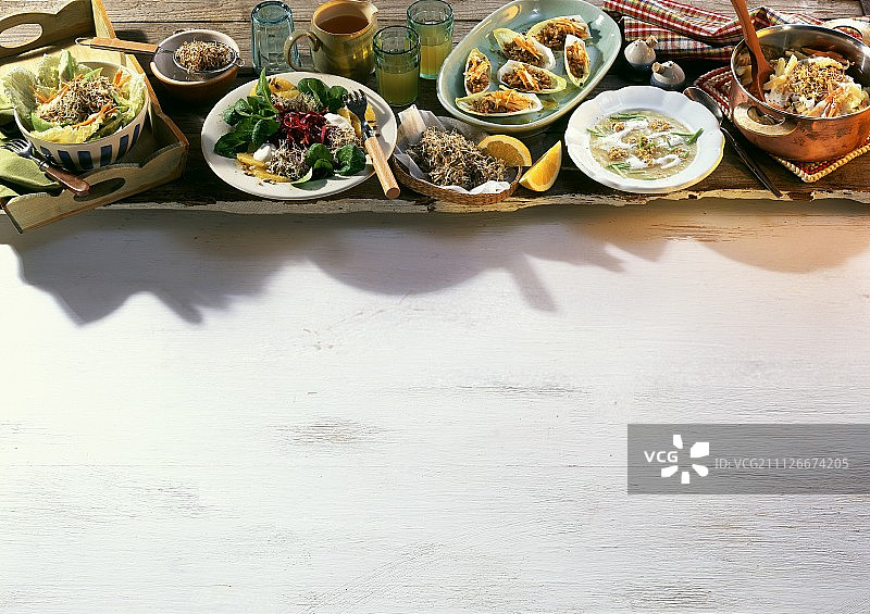 各种豆芽菜肴图片素材