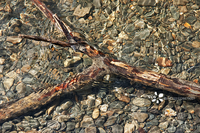 摄影：Michael Hill图片素材