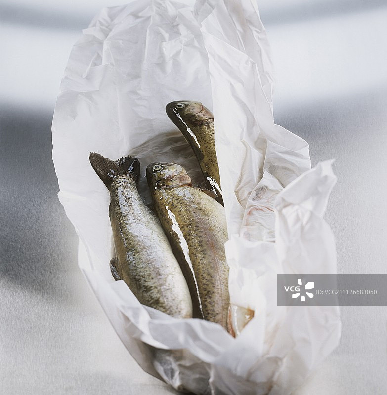 白纸上的新鲜鳟鱼图片素材