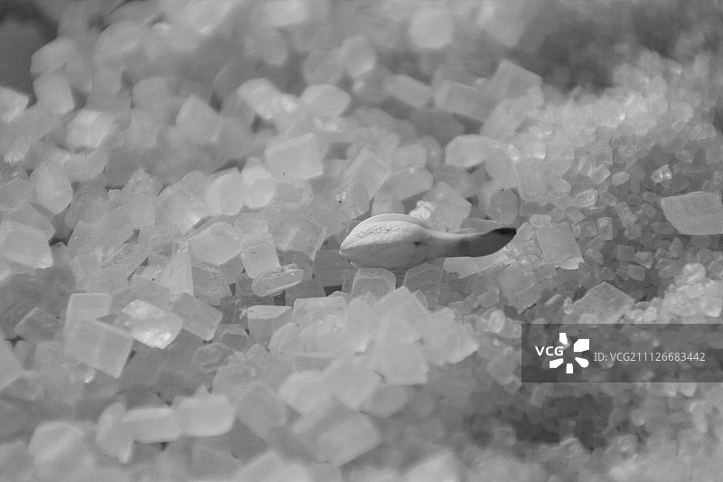 茉莉花图片素材