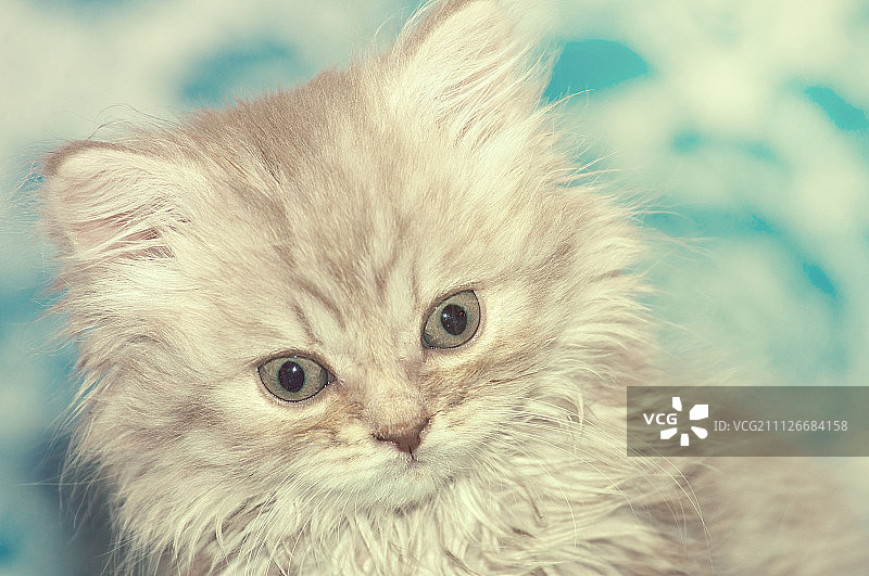 俄罗斯科斯特罗马图片素材