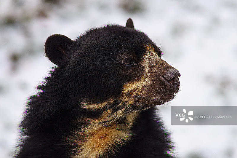 Boris Werner摄影作品图片素材