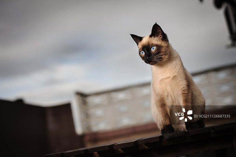 乌玛户外图片素材