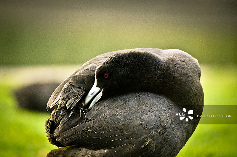 500px图片编号：32169771 -图片素材