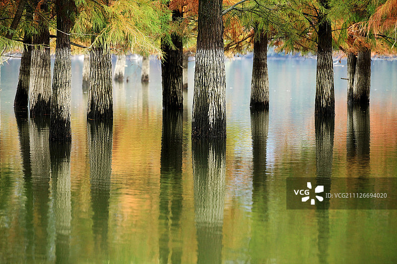 安徽省黄山市黟县宏村奇墅湖，秋染奇墅湖。图片素材