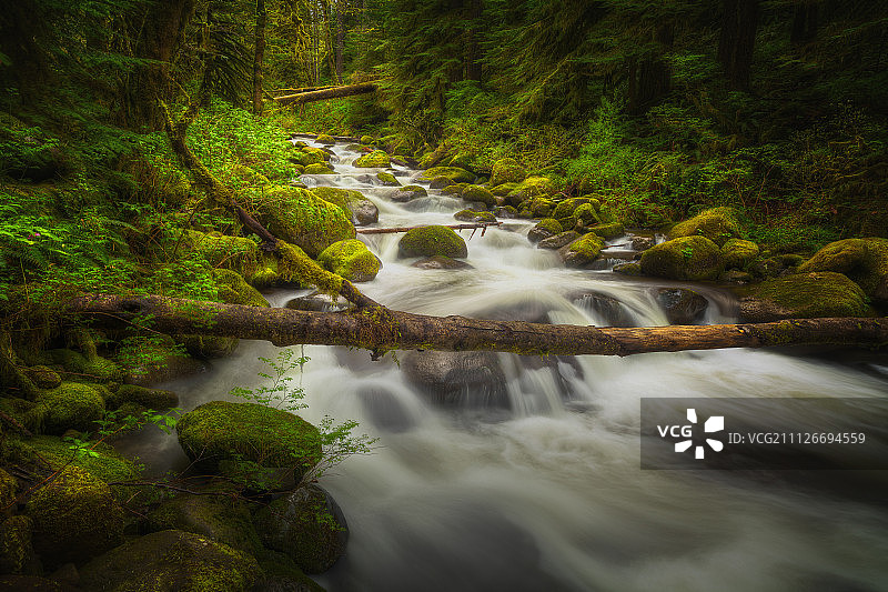 Larch Mountain的影子图片素材