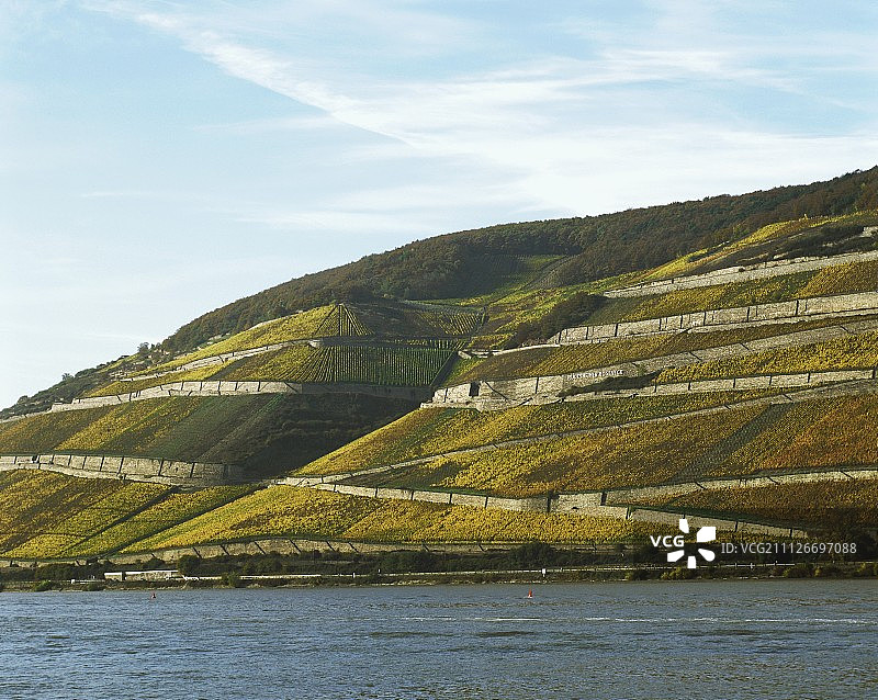 德国莱茵高吕德斯海姆Roseneck的Einzellage图片素材