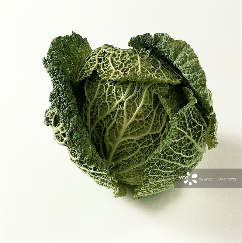 皱叶甘蓝图片素材