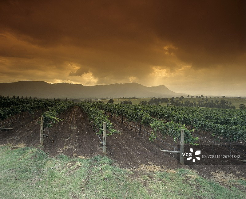 澳大利亚新南威尔士州猎人谷下游地区图片素材