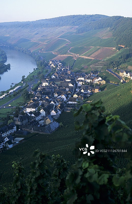 德国摩泽尔-萨尔-鲁韦尔产区的乌尔齐格葡萄酒村图片素材
