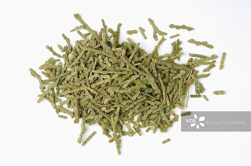 北方白雪松的干针叶图片素材