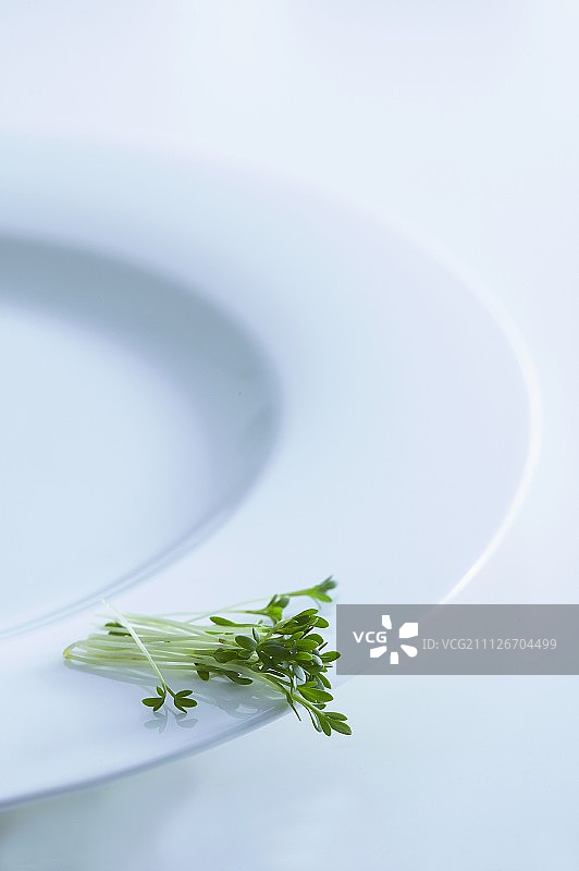 盘中的新鲜水芹图片素材