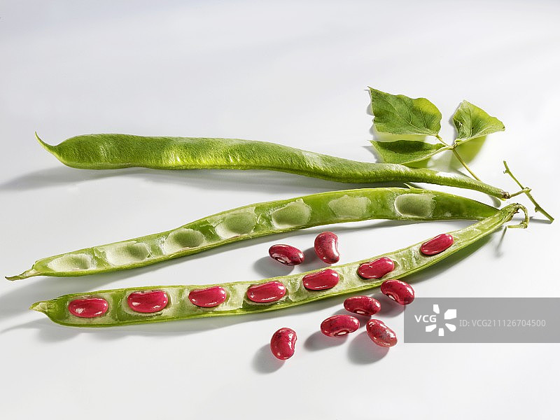 豆荚中的红腰豆图片素材