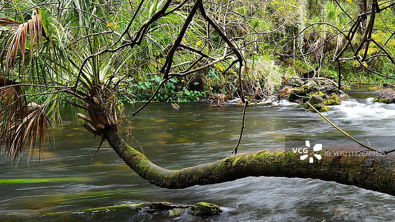 希尔斯伯勒河8图片素材