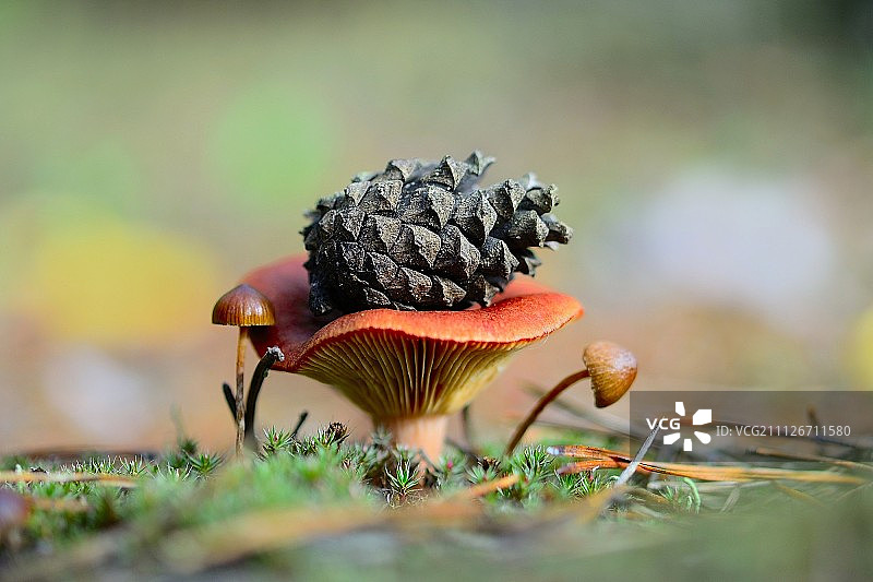 就是这样！图片素材