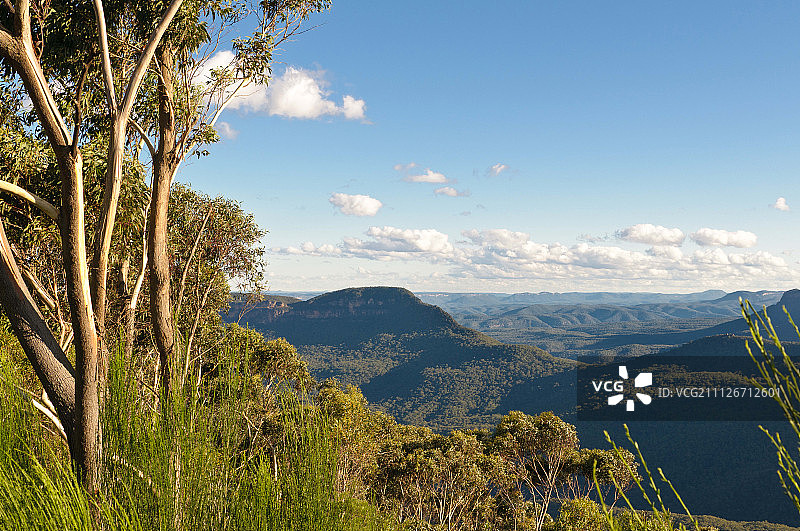 澳大利亚蓝色山脉图片素材