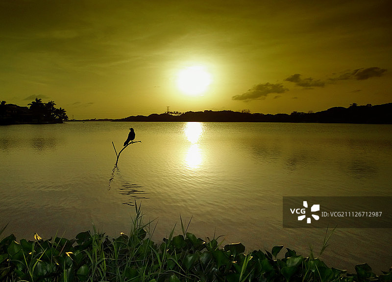 坦皮科，墨西哥图片素材
