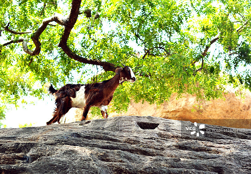印度七塔寺图片素材