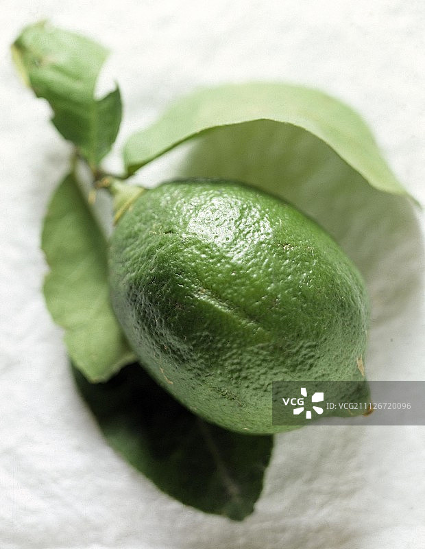 一颗青柠图片素材