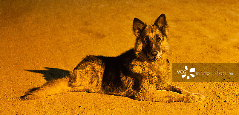 在路上图片素材