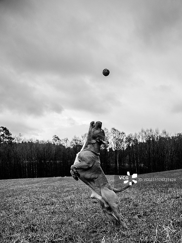 无标题的图片素材