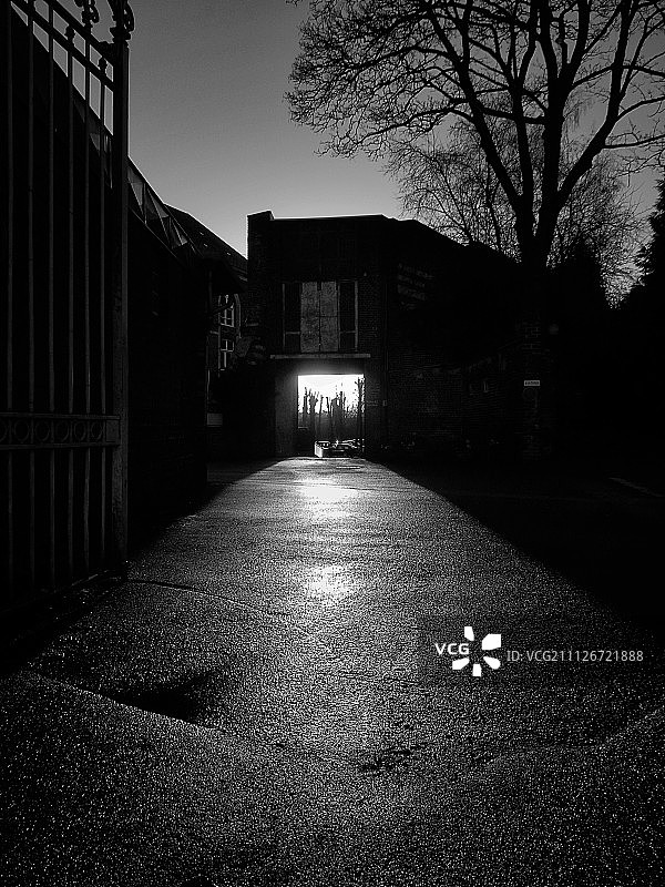 阿拉斯图片素材