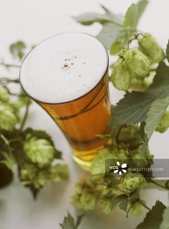 一杯琥珀啤酒与啤酒花图片素材