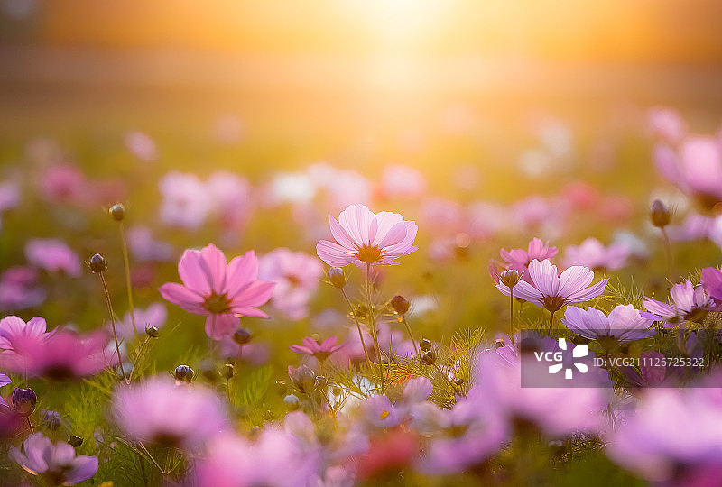 中国台湾板桥区图片素材