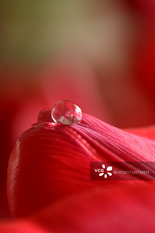 纯正红色图片素材