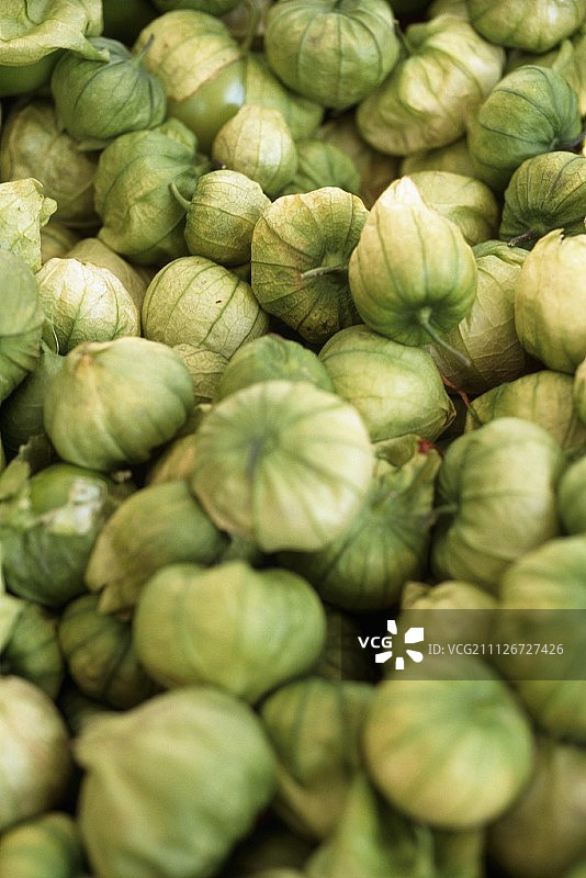 酸浆果图片素材