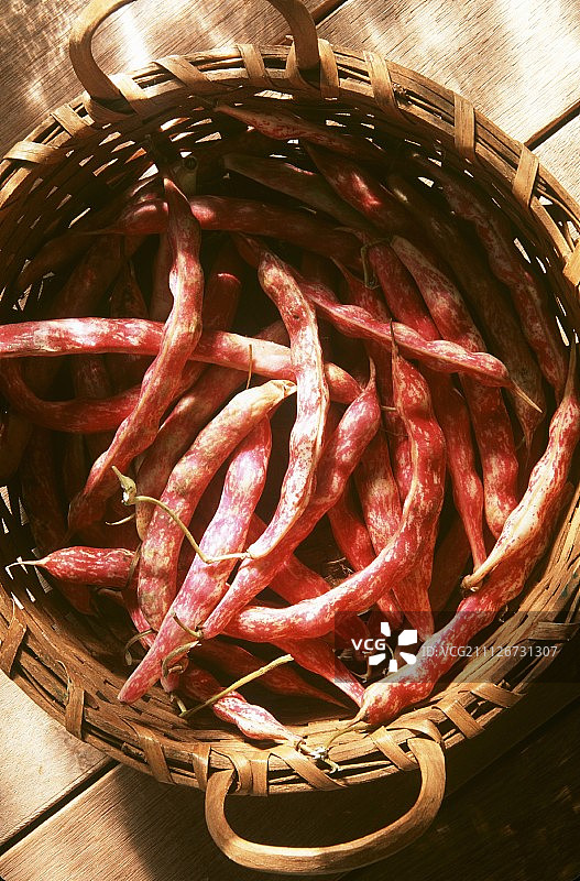 篮子里的贝壳豆图片素材