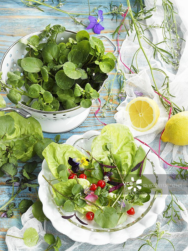 搭配豆瓣菜、糖脆豌豆、红醋栗和玫瑰花瓣的生菜图片素材