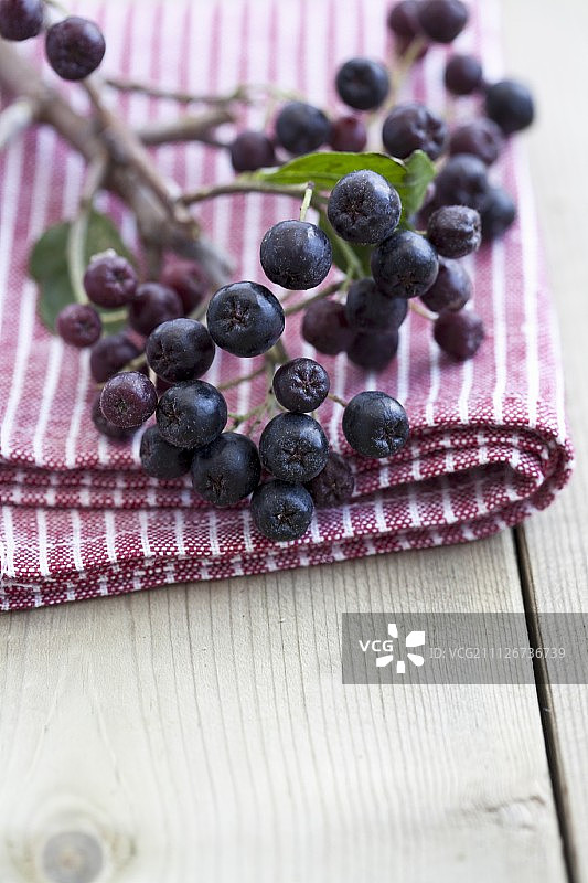 条纹毛巾上的野樱莓枝图片素材