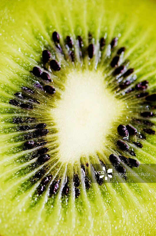 猕猴桃切片（细节图）图片素材